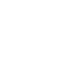 rsm